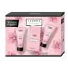 COFFRET LORENZO SILVETTO CRÉATION LAMIS