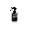 SPRAY D'INTERIEUR SPRING FLOWER BEA'S